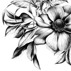 Paperproducts Design Servietten 33x33 cm Natasha 