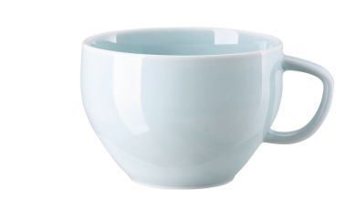 Rosenthal Junto Opal Green Cafe Au Lait Obertasse 