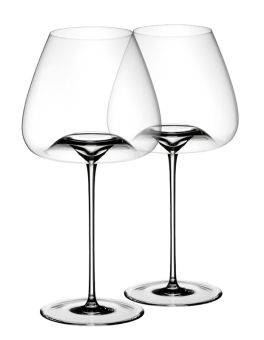 Zieher Weinglas Vision Balanced 2-er Set 
