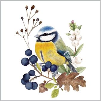 Paperproducts Design Servietten 25x25 cm Oiseau en Nature 