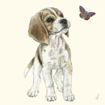 Paperproducts Servietten 33x33 cm Jean 
