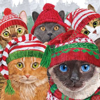 Paperproducts Servietten 33x33 cm Cat Usie 