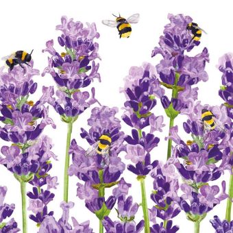 Paperproducts Design Servietten 33x33 cm Bees & Lavender 