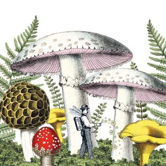 Paperproducts Design Servietten 33x33 cm Mushrooms 